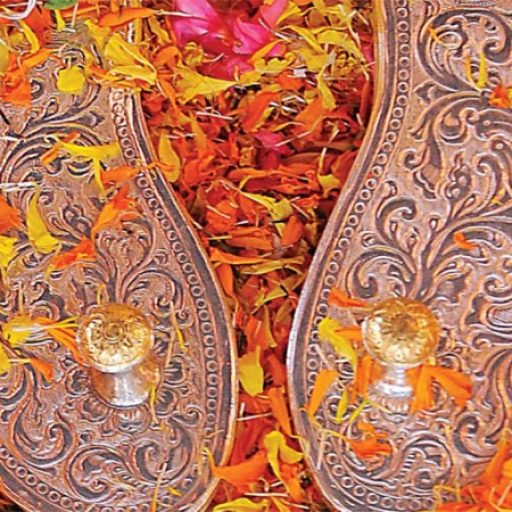 Paduka Digvijaya Yatra – Gallery